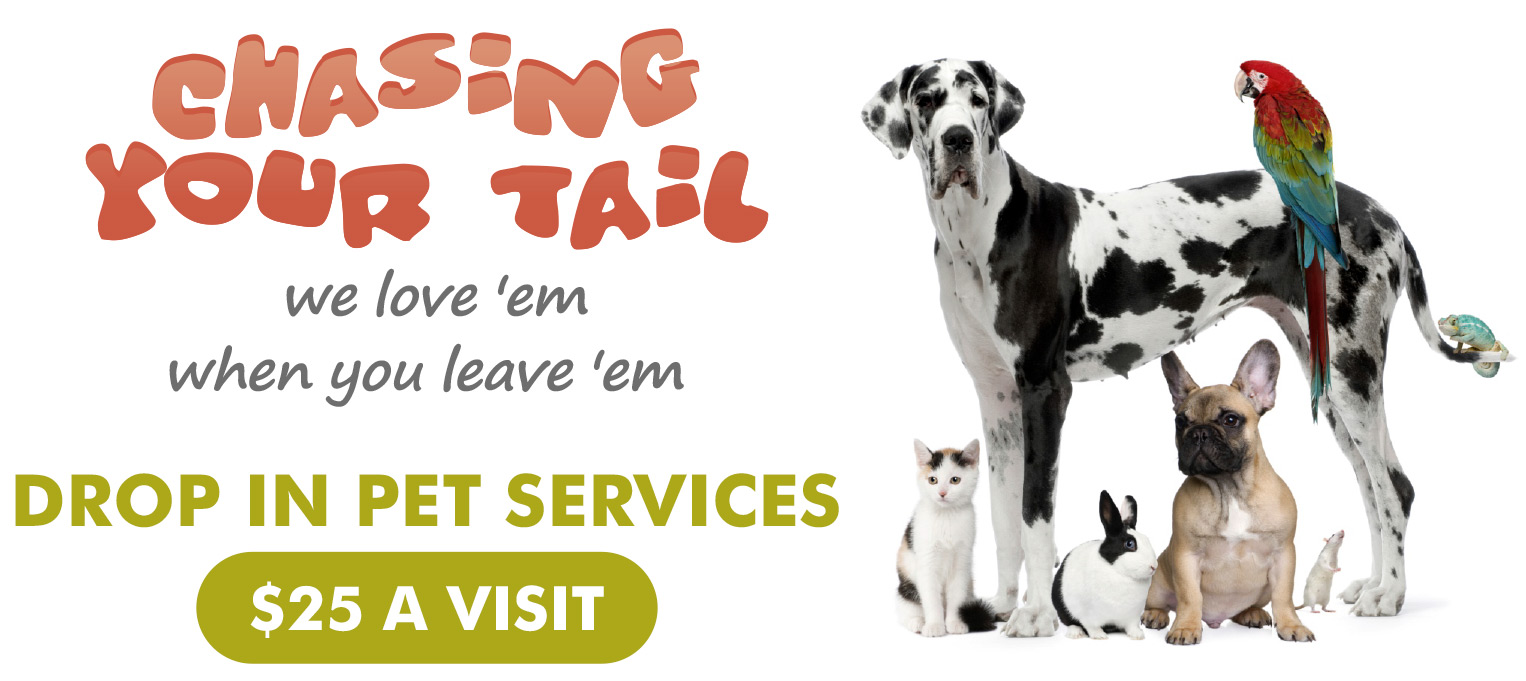 Chasing Your Tail: We love ‘em when you leave ‘em! Drop in Pet Services $25 a Visit